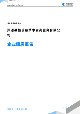 渾源縣恒信德技術咨詢服務企業信息報告-天眼查